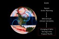 物理組演講公告  3月14日(四)  14：20  The Changing Impacts of El Niño on Mid-latitude Hydroclimate.  Dr. Yu-chiao Liang (Physical Oceanography, Woods Hole Oceanographic Institution, USA)
