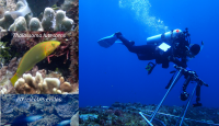 在生物地理過渡帶中棲地改變對礁岩魚類專一化程度的影響