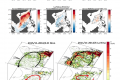 Impact of ENSO on the South China Sea during ENSO decaying periods (a new mesoscale perspective from the regional coupled model)