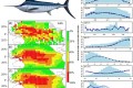 Modelling the impacts of environmental variation on the distribution of blue marlin, Makaira nigricans, in the Pacific Ocean