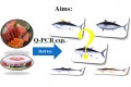 <!--:tw-->Rapid identification of tuna species by real-time PCR technique.<!--:-->