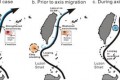 Response of the Kuroshio east of Taiwan to mesoscale eddies and upstream variations