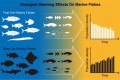Life histories determine divergent population trends for fishes under climate warming