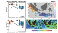 Zooplankton ecology matters for paleoceanographic reconstructions