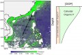 Colloidal organic phosphorus in the South China Sea