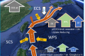 Rapid increase of pCO2 and seawater acidification along Kuroshio of the East China Sea
