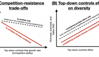 Trade-offs between competitive ability and resistance to top-down control in marine microbes